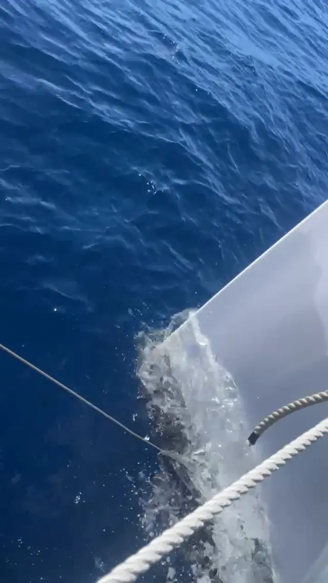 Mā Tori's bow carving through deep blue water at speed