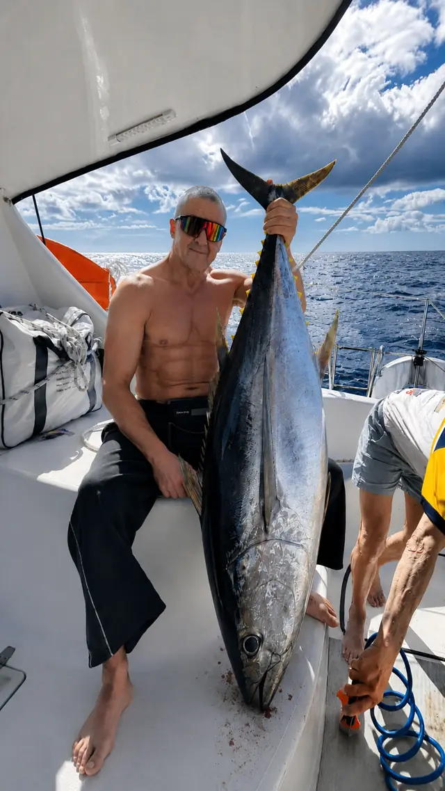 Yellowfin tuna landed mid-ocean